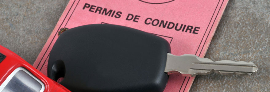 Permis de conduire