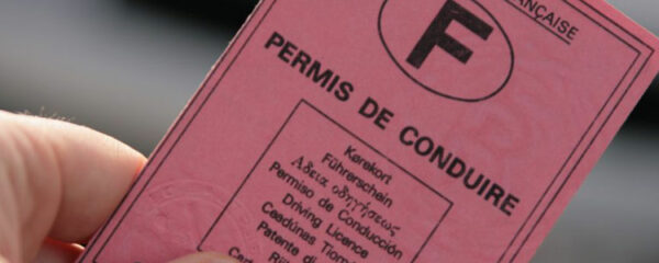 permis de conduire assermentée